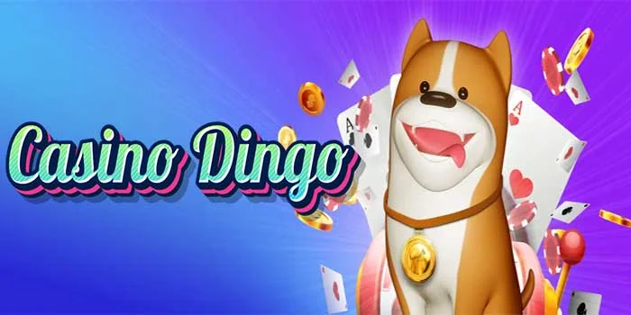Casino Dingo – Temukan Permainan Terbaik Di Casino Populer Ini
